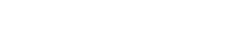 Rochester Colo Logo